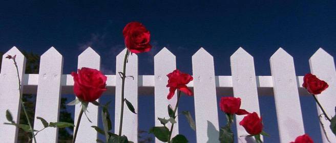 17862453_10154539632826169_2481990444816230541_n