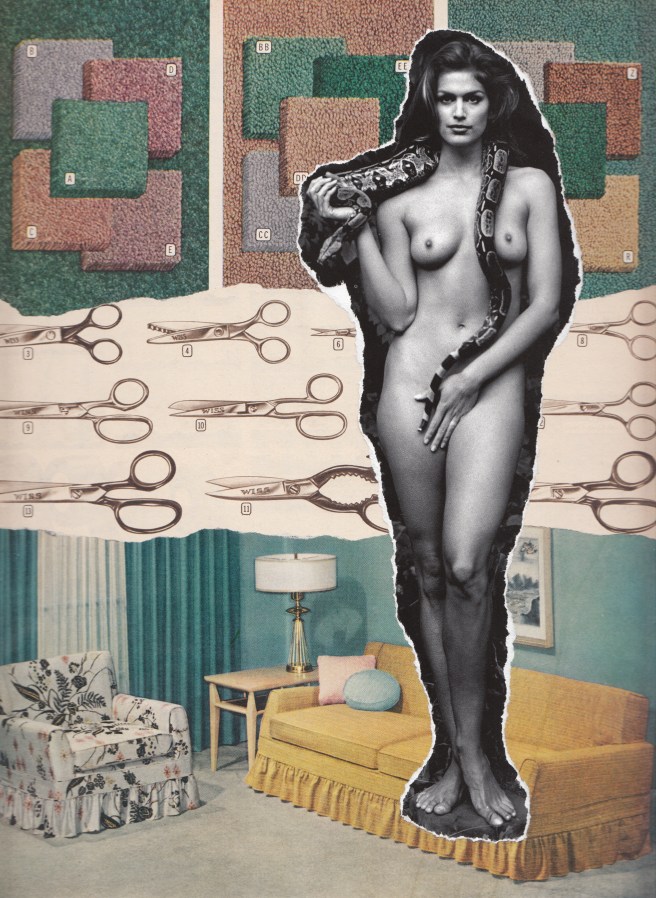 Venus On Plush Pile (1-1-18)