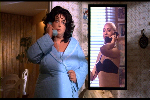 Polyester-DVD-captures-dreamlanders-8637388-500-333