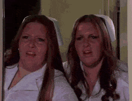 BeautifulDetailedEnglishsetter-max-1mb