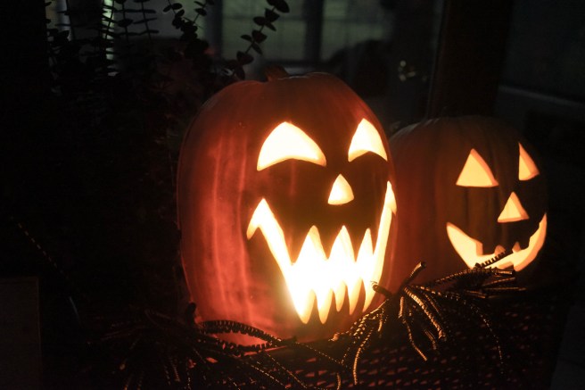 tumblr_peat4t3KO71uaw3rgo1_1280