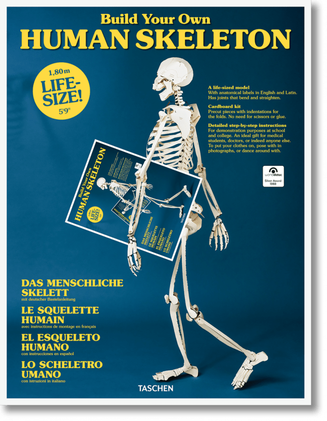 skeleton_va_int_2d_44638_1803081516_id_1168552