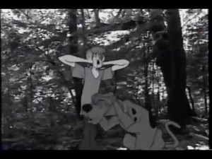 MWlBb0C04wTdln67qa41IzPx-w4iVsPeRY_a9IqhdO8d3kv9iaXmGKQ9TqXFpcO96Vz5P0Do5VWScoddJe88bw