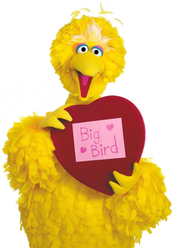 bigbird