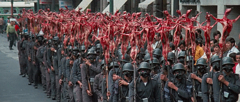 AgileEducatedKittiwake-size_restricted